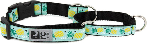 RC Pets 3/4 Inch Easy Clip Web Martingale Training Dog Collar, Small, Pineapple Parade