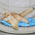 MeowAroma Summer 11.8 X15.7 Cooling Mat for Dogs and Cats, Foldable Gel Cooling Mat with Ice Crystal Powder, Blanket