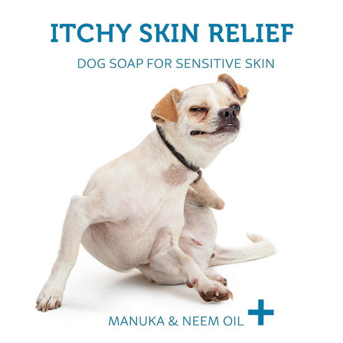 Dog Shampoo Bar Soap for Itchy Skin Relief, 2.8 oz, Concentrated Dog Soap with Natural Manuka and Neem Oil