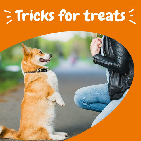 Zesty Paws 12oz Training Treats for Dogs & Puppies - Bacon Flavor with Fish Oil Omega 3 Fatty Acids