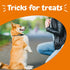 Zesty Paws 12oz Training Treats for Dogs & Puppies - Bacon Flavor with Fish Oil Omega 3 Fatty Acids