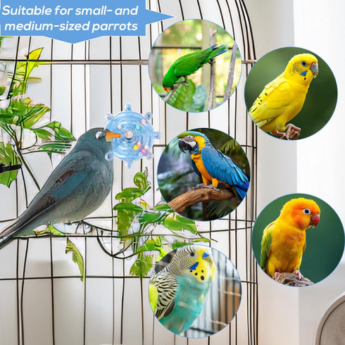 PEUTIER Parrot Spinner Toy, Medium Small Funny Parakeet Conures Toy Interactive Parrot Toy Bird Toy Spinning Rattle
