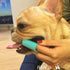 H&H Pets Dog Finger Toothbrushes, Professional Pet Finger Dental Brush Set, Soft Bristles, Size Large, 8 Count