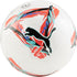 1 PUMA Orbita LaLiga (FIFA Quality)