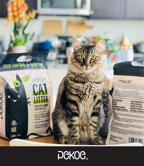 PeKoe All-Natural Odor Control & Clumping Cat Litter, 6-lb Bag (Pack of 1)
