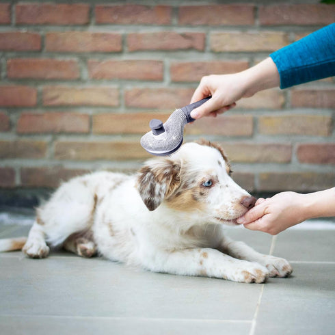 Self Cleaning Slicker Brush for Dogs & Cats, Full Diamonds, Skin Friendly, Grey