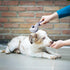Self Cleaning Slicker Brush for Dogs & Cats, Full Diamonds, Skin Friendly, Grey