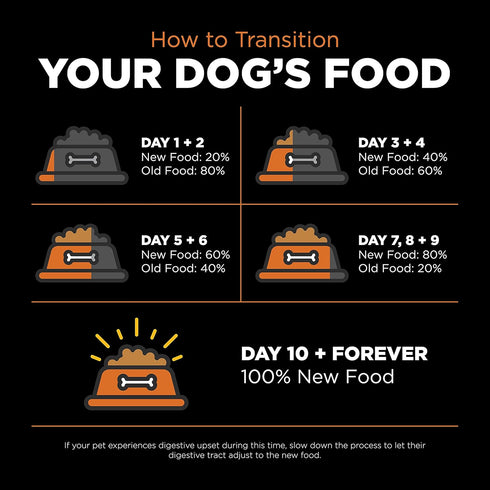 Go! Solutions Skin + Coat Care - Dry Dog Food - 12 lb - Salmon Recipe with Grains for All Life Stages