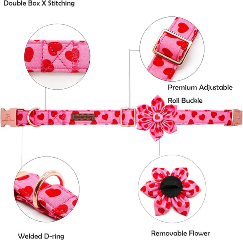 Lionheart glory Valentine's Day Dog Collar with Flower, Hearts Design for X-Small Dogs, Spring Puppy Collar