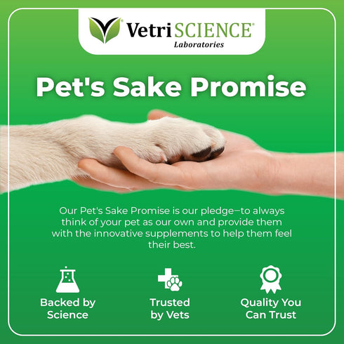 VetriScience Derma Strength Healthy Skin and Coat Chews for Dogs, 70 Chews with Omega 3, 6, 9