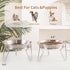 Elevated Cat Bowls, 6.7" Extra Wide Raised Stainless Steel Food Bowls with Anti-Slip Metal Stand for Indoor Cats