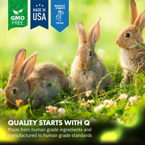 HealthyGut Probiotics for Rabbits, All-Natural Dietary Supplement for Digestive System, 120 Servings