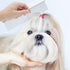 Pets Grooming Comb Kit for Small Dogs and Puppies - 2-in-1 Tear Stain Remover with Round Teeth for Knots and Crust Mucus