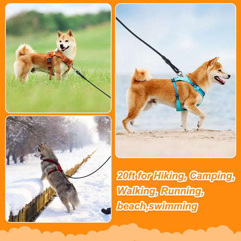 Vivifying Long Floating Dog Leash, 20ft Training Leash with Comfortable Handle for Hiking, Swimming, Beach (Black)
