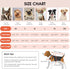 Queenmore Cold Weather Dog Coats, Loft Reversible Winter Fleece Vest, Waterproof Pet Jacket in Multiple Sizes