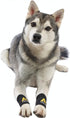 AGON Dog Canine Front Leg Brace, Compression Wraps for Wounds, Small/Medium, Helps with Arthritis