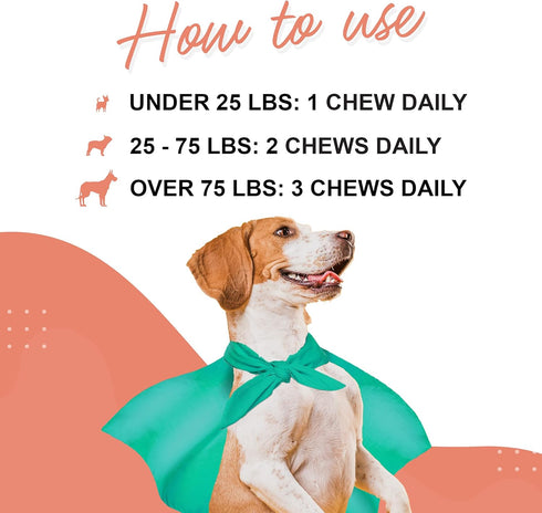 Skin & Coat Supplement for Dogs with Salmon Oil, Omega 3 & 6, 70 Soft Chews for Healthy Skin