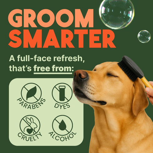 TropiClean No Rinse Waterless Dog Shampoo, Detangling & Deodorizing Dry Shampoo for Smelly Pets, 7.4oz, Papaya Scent