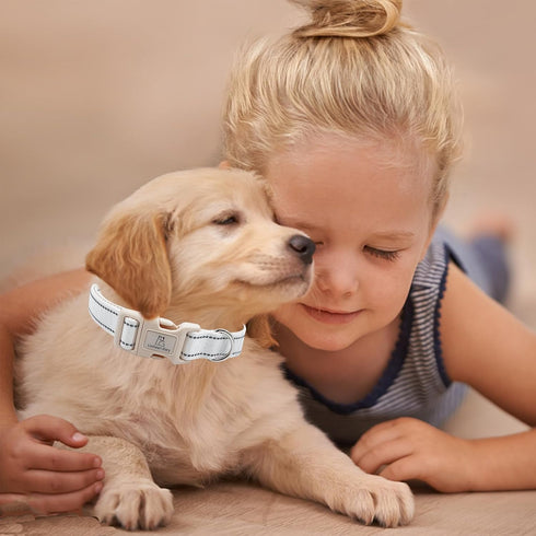 Reflective Lionheart Glory Dog Collar, Adjustable Durable Soft Classic Collar for Large Dogs, Pet Gift