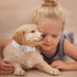 Reflective Lionheart Glory Dog Collar, Adjustable Durable Soft Classic Collar for Large Dogs, Pet Gift