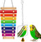 Bird Xylophone with Mirror & Bell Accessories - Musical Training Toy for