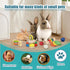 QWR 9PCS Chinchillas, Wooden Bunny Toys,Safe Rabbit & Guinea Pigs Teeth Grinding Toy for Hamsters & Small Animals