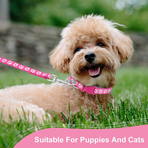 2 Packs Dog Collar and Leash Set, Quick Release Buckle Adjustable Paw Print Puppy Collar for Small Dogs