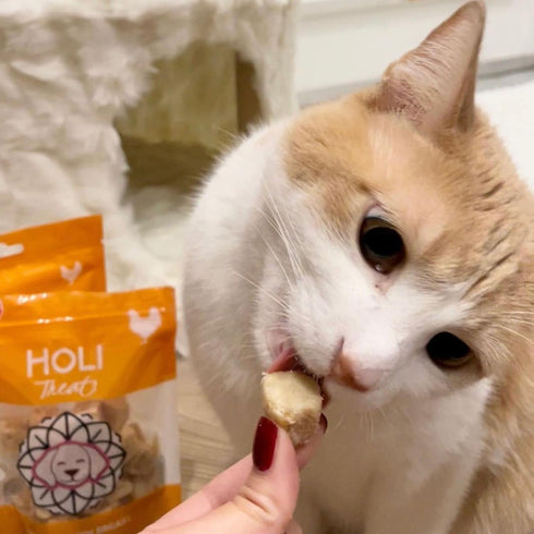 HOLI Freeze Dried Chicken Dog Treats, 100% All Natural Chicken Breast, Grain Free, Gluten Free, Soy Free (1.75 Ounce)