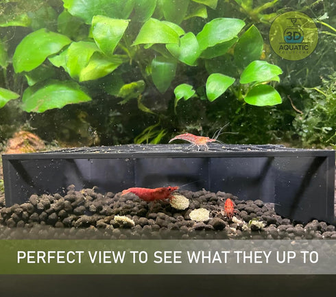 3.5" Shrimp Guard to Prevent Predator Fish. Aquarium Shrimp Protector. Ultimate Breeding Protection in Betta Tank.