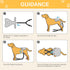 3 Pack Avont Washable Female Dog Diaper with Suspender, Reusable Girl Doggie Diapers for Small Medium Large Doggy