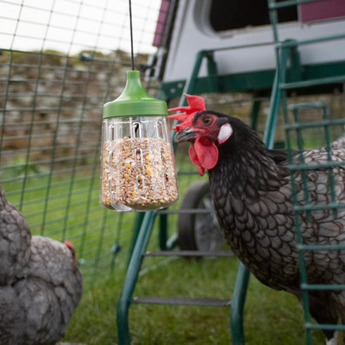Omlet 300g 2 Pendant Peck Toy | Interactive Slow-Feed Chicken Treat Dispenser | Boredom Busting Enrichment for Hens |