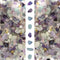 2lb Fluorite Crystal Aquarium Gravel - Natural Crushed Crystal Chip Bulk for Fish Tank Decoration