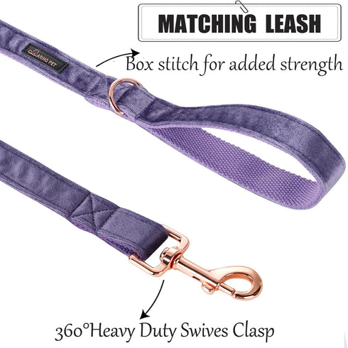 ARING PET Dog Leash - Handmade Strong Purple Velvet Leash Matching Dog Collars for Small, Medium & Large Dogs