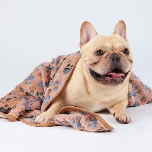 1 Pack 3 Blankets, Super Soft Fluffy Premium Fleece Pet Blanket, Medium (30x20 inch, Brown/Pink/White)
