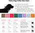 Soft Corduroy Dog Collar - High Grade Metal Buckle for Small Dogs (White, Small: 10-15")