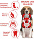 GAOMON Squeaky Dog Toys, Durable Plush Chew Toys in Fox Shape for Small and Medium Dogs