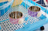 RUBYHOME 2-in-1 Dog Bowl & Feeder - Blue Plastic & Stainless Steel Hanging Food Basin for Crates & Cages
