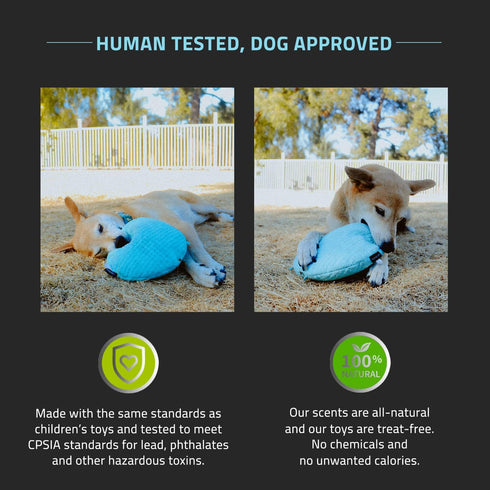 Playology Plush Crinkle Disc Dog Toy - Engaging Peanut Butter Scented Toy for Large Dogs (35lbs & up), Easy to Clean
