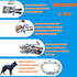 Prong Training Collar for Dogs, Adjustable Dog Pinch Collar with Quick Release Buckle, No Pull Collar for Small Medium