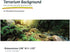 Galápagos (05400) Terrarium Background Clings, 11.125" x 36", Woodland