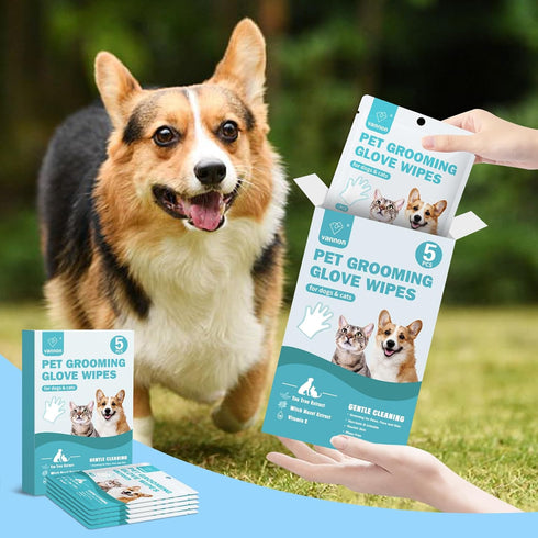 Portable Pet Bathing Wipes for Dogs & Cats, Extra Thick Grooming Glove Wipes for Daily Care, 2 Pack, 10 PCS