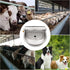 85oz, 304 3/4" Automatic Dog Water Bowl Dispenser Stainless Steel Self-Filling Bowl with Brass Float Valve for Outdoor