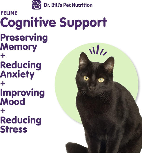 Dr. Bill's Feline Cognitive Support Supplement for Cats, Memory Support with Gingko Biloba & DHA