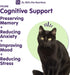 Dr. Bill's Feline Cognitive Support Supplement for Cats, Memory Support with Gingko Biloba & DHA