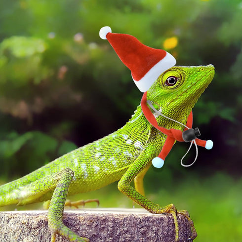 2 Pack Christmas Bearded Dragon Lizard Hat and Scarf, Small Animal Guinea Pig Christmas Costume Clothing (2A-Red)