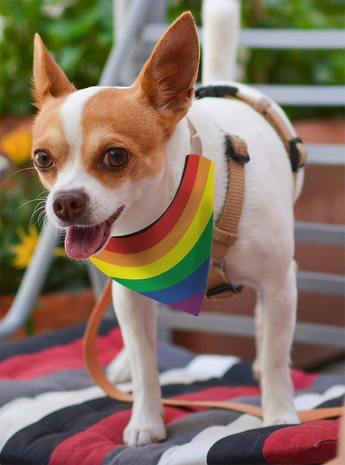 ThisWear Pride Dog Accessories Rainbow Dog Clothes, Pride Flag Scarf for Smaller Dogs