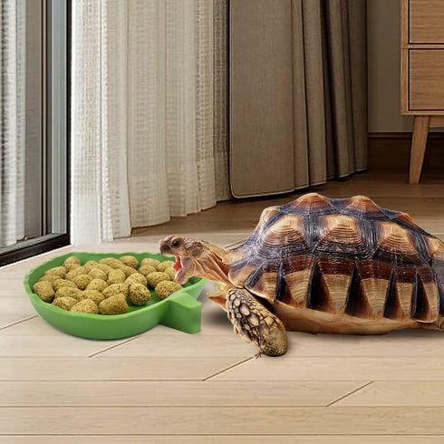 Leaf Shape Reptile Food Water Bowl, 2 Pieces Reptile Plate Dish for Tortoise, Corn Snake, 2 Sizes