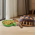 Leaf Shape Reptile Food Water Bowl, 2 Pieces Reptile Plate Dish for Tortoise, Corn Snake, 2 Sizes