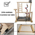 Parrots Playground, Bird Play Gym Wood Perch Stand Colours Revolving Climb Ladders Swing Chewing Toys with Parakeet
