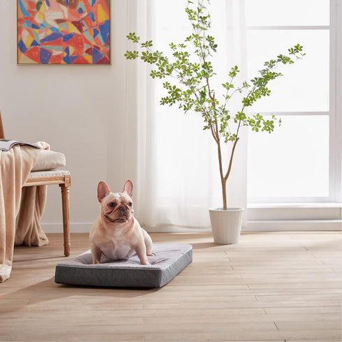 Orthopedic Memory Foam Dog Bed, Cooling Pet Beds for Medium Dogs, Washable with Faux Fur Cover, M (29 inch)